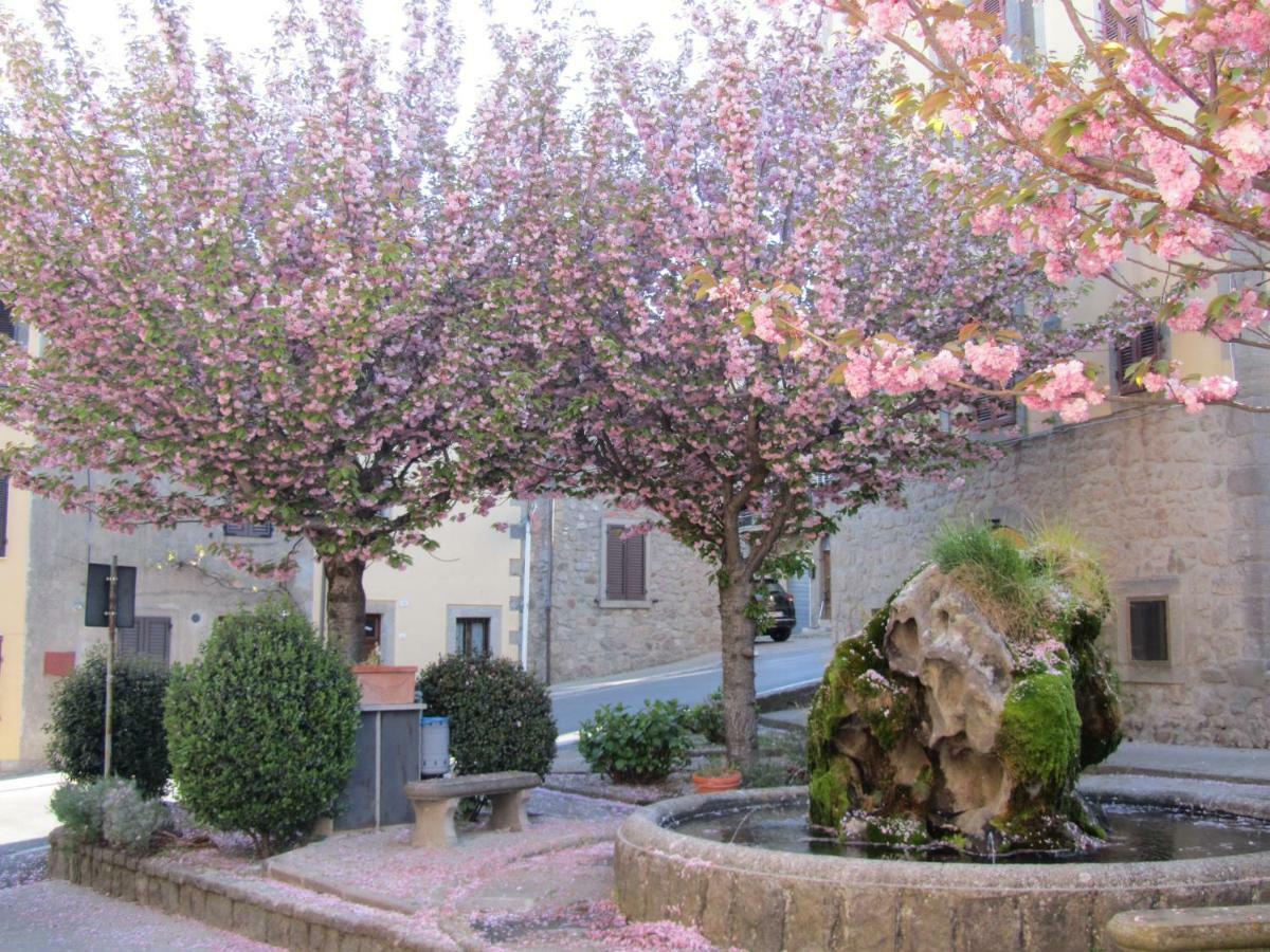 Casa Giuly Vivo dʼOrcia Exterior foto